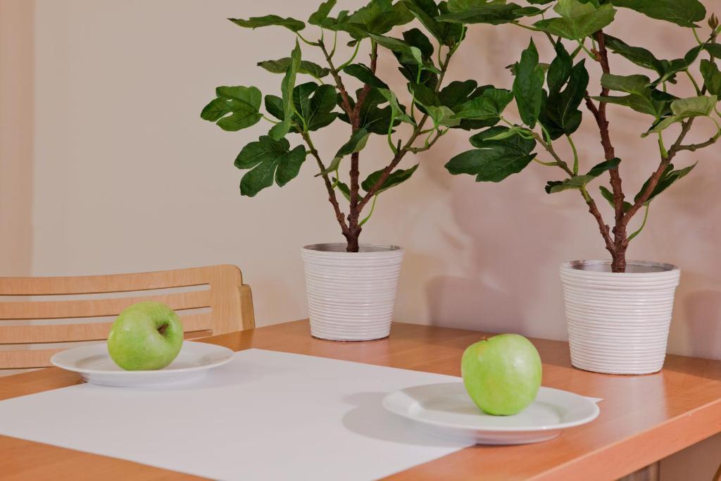 Apartament Tww Lubicz